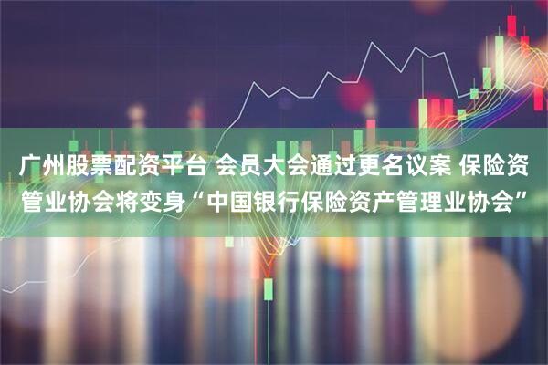 广州股票配资平台 会员大会通过更名议案 保险资管业协会将变身“中国银行保险资产管理业协会”