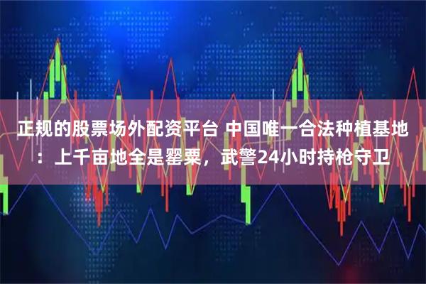 正规的股票场外配资平台 中国唯一合法种植基地：上千亩地全是罂粟，武警24小时持枪守卫